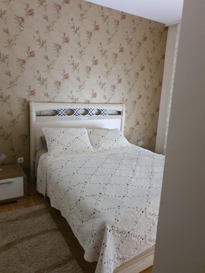 Pančevo Apartments Soleado מראה חיצוני תמונה